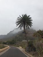 Punta de Teno (2)