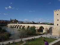 Römische Brücke in Cordoba (9)