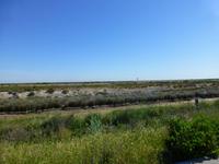 Radtour durch Coto Donana
