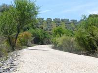 Radweg via verde del aceite
