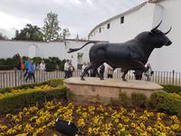 Ronda (8)