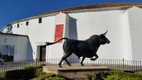 Ronda - Wanderreise Spanien – zu Fuß durch sonniges Andalusien