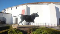 Ronda - Wanderreise Spanien – zu Fuß durch sonniges Andalusien