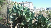 Ronda - Wanderreise Spanien – zu Fuß durch sonniges Andalusien