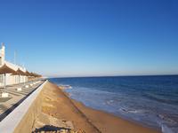 Rota (1)