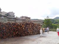 Rupit (6)