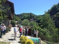 Rupit