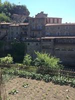 Rupit