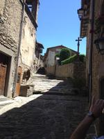 Rupit