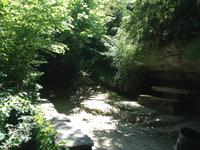 Rupit