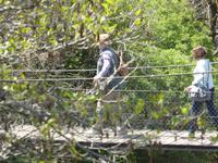 Rupit