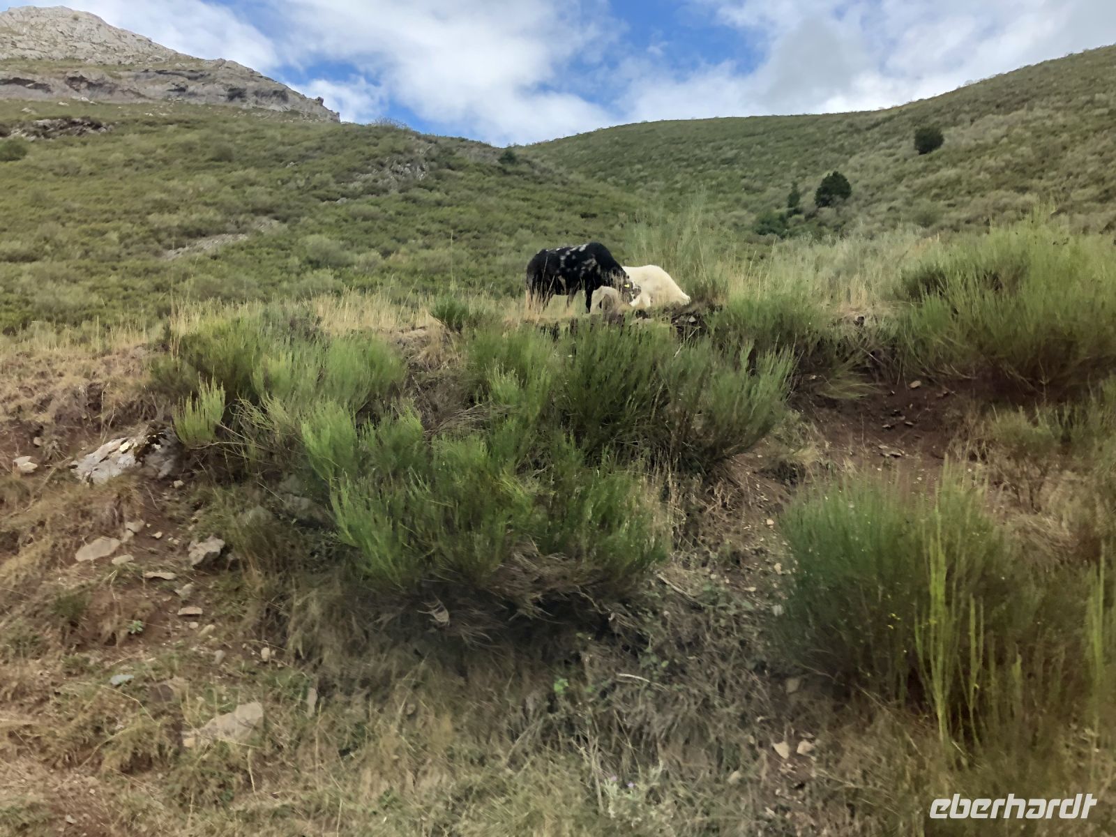 Ruta del Cares