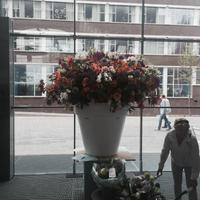 Sag es mit Blumen