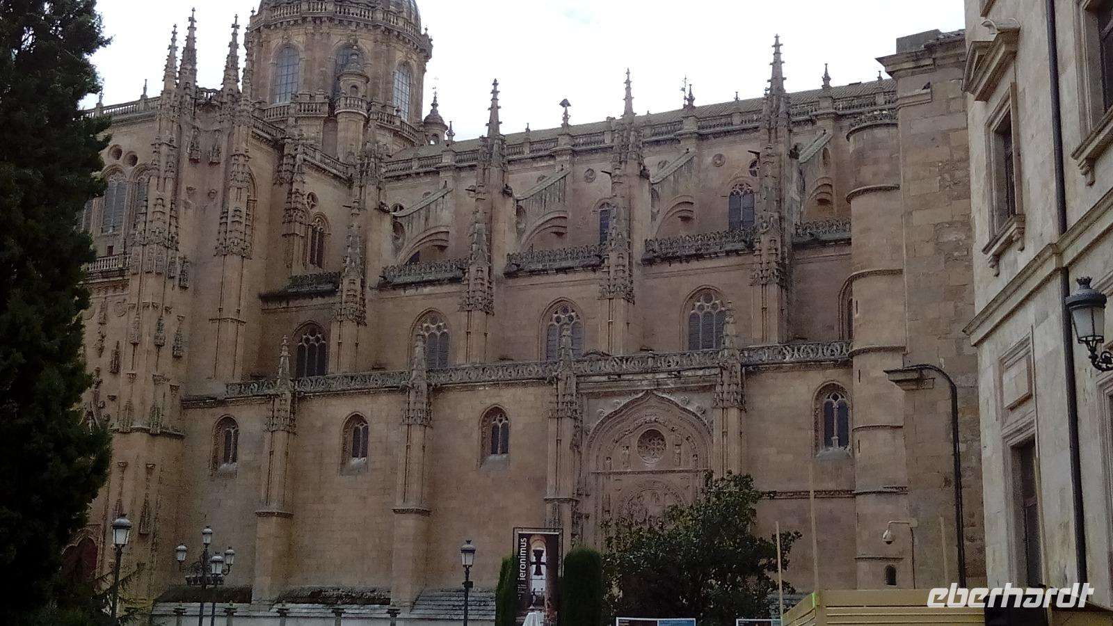 Salamanca 11