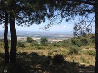 San Pedro de Rodas