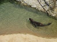 Santander (12)