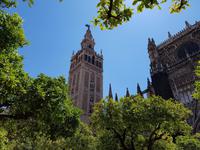 Sevilla (18)