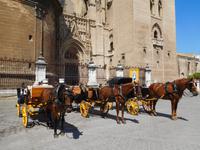 Sevilla (45)