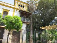 Sevilla (53)