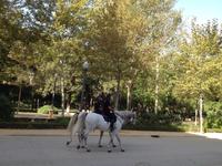 Sevilla (7)