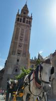 Sevilla - 10 Tage Radreise Andalusien entlang der Via Verde - Natur und Kultur in Spanien
