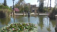 Sevilla