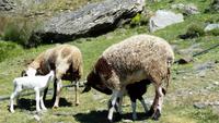 Sierra Nevada - Las Alpujarras - Single-Wanderreise Andalusien