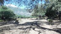 Sierra de Grazalema - Wanderreise Spanien – zu Fuß durch sonniges Andalusien