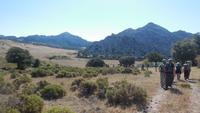 Sierra de Grazalema - Wanderreise Spanien – zu Fuß durch sonniges Andalusien