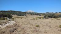 Sierra de Grazalema - Wanderreise Spanien – zu Fuß durch sonniges Andalusien
