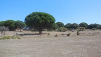 Sierra de Grazalema - Wanderreise Spanien – zu Fuß durch sonniges Andalusien