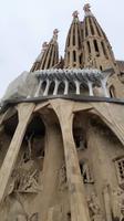 Silvester Barcelona - Jahreswechsel in Spanien (85)
