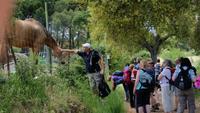 Single-Wanderreise Andalusien