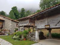Single-Wanderreise in Nordspanien mit San Sebastian – Picos de Europa – Jakobsweg – Santiago de Compostela – Atlantikküste – Porto (210)