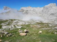 Single-Wanderreise in Nordspanien mit San Sebastian – Picos de Europa – Jakobsweg – Santiago de Compostela – Atlantikküste – Porto (253)