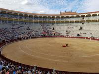Singlereise: Madrid erleben! 5 Tage Städtereise Madrid mit Ausflügen nach Toledo, El Escorial und Segovia