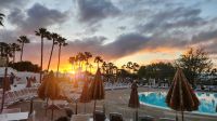 Sonnenaufgang am Hotelpool