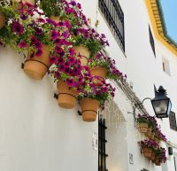 Spanien, Córdoba