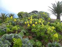 Spanien, El Hierro,