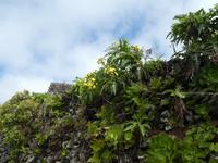 Spanien, El Hierro