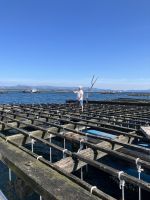 Spanien, O Grove - Muschelzucht