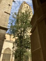 Spanien, Segovia