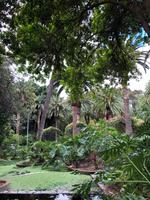 Stadtpark Santa Cruz