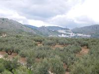Subbética60 (52)