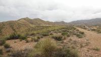 Tabernas Wüste