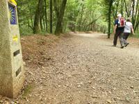 Tag  Wanderung auf dem Jakobsweg von Arzua nach Arca (36)