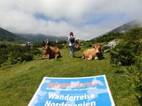 Tag  Wanderung bei den Covadonga-Seen - Ribadeo - Kathedralen-Strand (31)