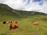 Tag  Wanderung im Nationalpark Picos de Europa - den spanischen Alpen (110)