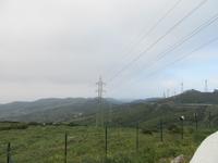 Tarifa (4)