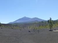 Teide
